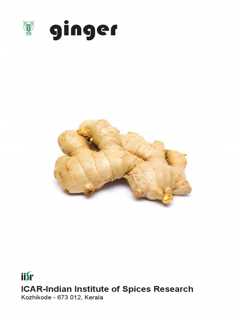 Ginger (English) PDF | PDF | Organic Farming | Ginger