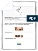 Tranzistor Bipolar