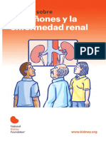 01-10-6163 - Learn About Kidneys and Kidney Disease.pdf