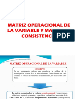 10014260_RESUMEN_DE_MATRIZ_DE_CONSISTENCIA_Y_OPERACIONALIZACIÓN VARIABLES.docx