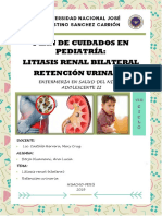 Litiasis Renal