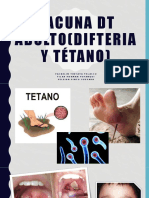 VACUNA DT ADULTO (Difteria y Tétano)