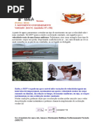 Muv Unidades 05 e 06