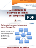 Perfiles Por Competencias