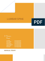 LUMBAR SPINE EXERCISES