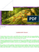 Gledanje U Dlan PDF