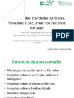 1 palestra-IX Simpósio Nacional do Cerrado-13-10-08.ppt