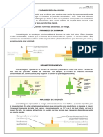 Pirc3a1mides Ecolc3b3gicas PDF