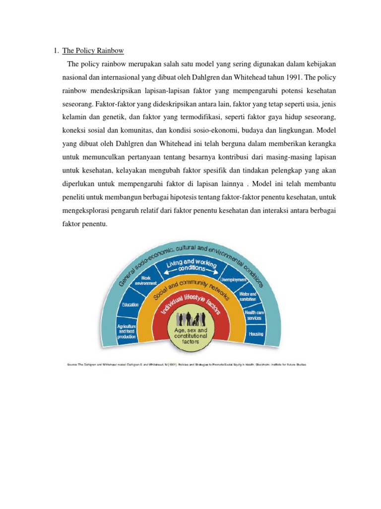 Model Policy Rainbow dalam Kesehatan | PDF