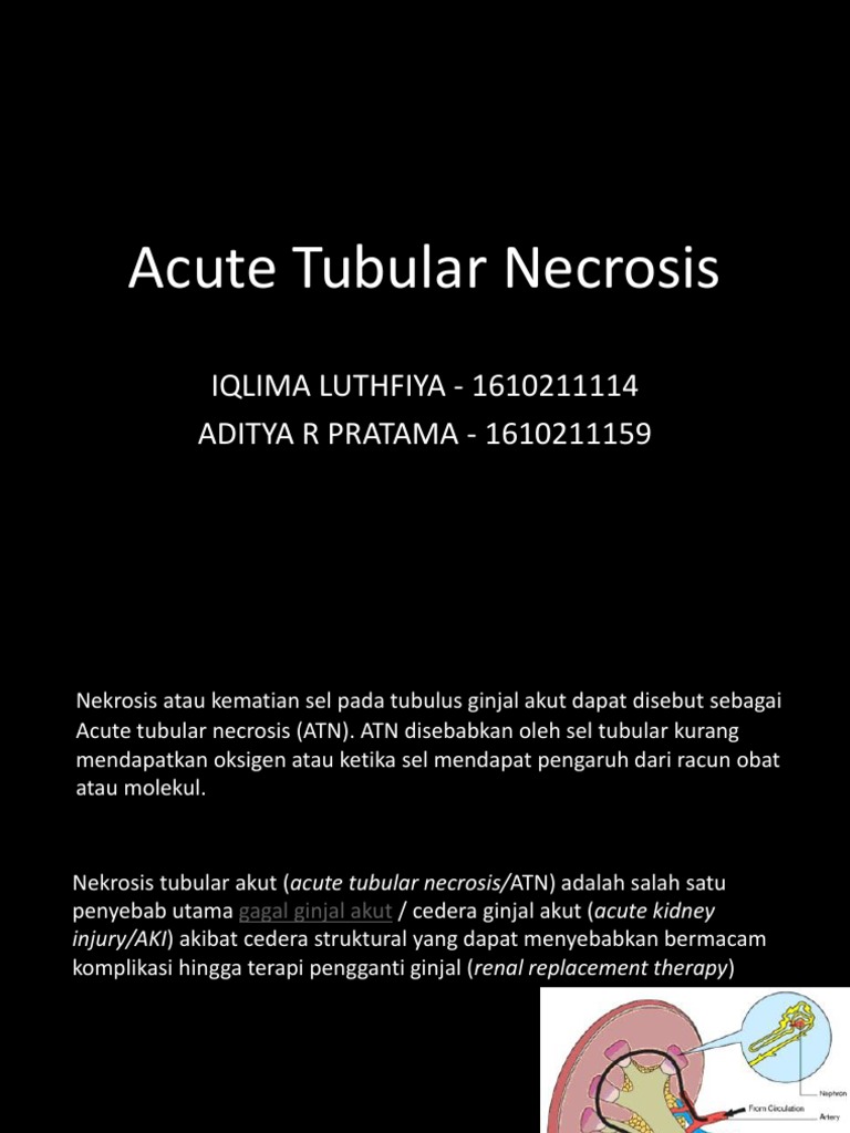 hjnn-pdf