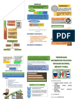 Tríptico Principales Movimientos Político-Sociales en Cuba, México y Rusia