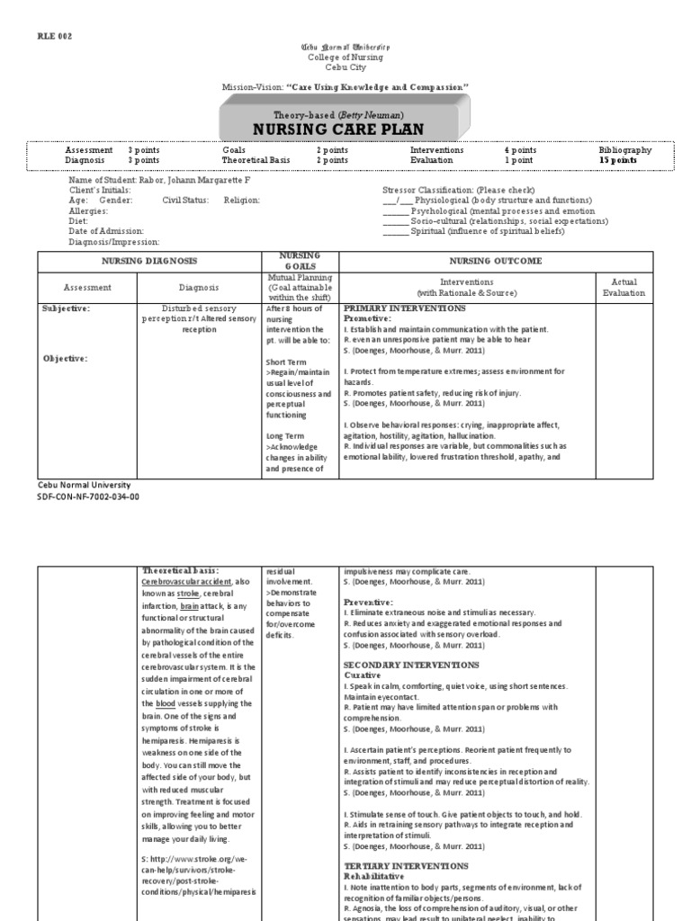 Nursing Care for Disturbed Sensory Perception | PDF | Stroke | Perception