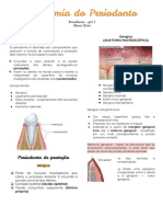 Anatomia Do Periodonto
