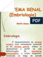 Embriologia Sistema Renal