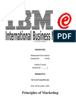 IBM Final Report