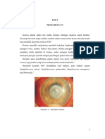 236387767-Keratitis-Bakterial.docx