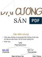 Sán Dài PDF