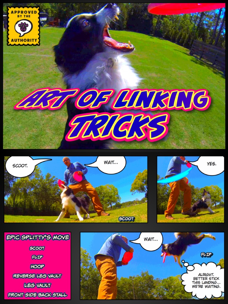 Disc Dog Routine Building 4 Art Of Linking Tricks.pdf