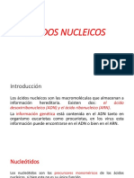 Acidos Nucleicos