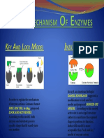 Mechanism of Enzymes 2