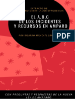 ABC RECURSOS E INCIDENTES EN AMPARO.pdf