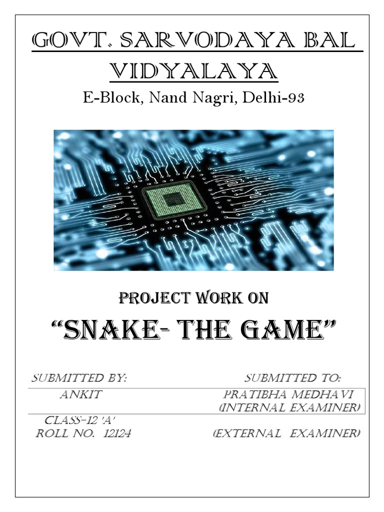 Snake Game Project - by Anurag Bhardwaj | PDF | C++ | C (Programming ...