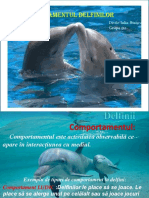 Delfin Ul