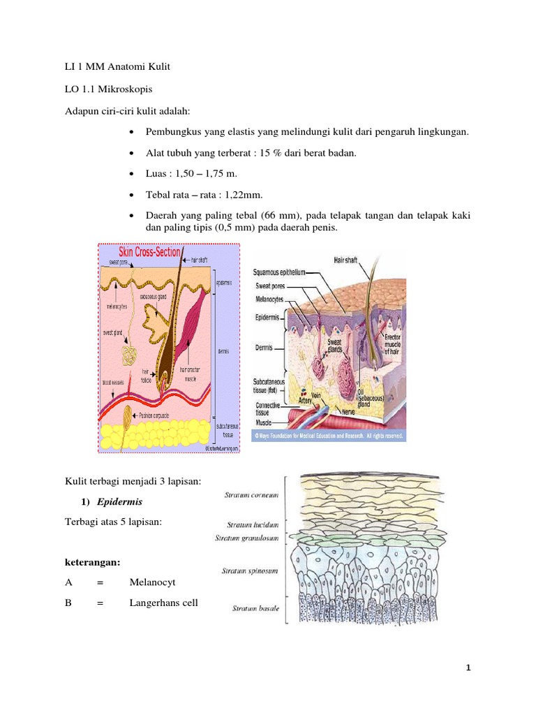 Jinsiy aloqa, zarba orgazm dan kamming bir joja porno video