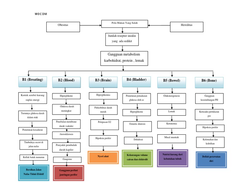 Pathway Diabetes Melitus Tipe 2 | PDF