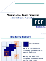 11 - Morphology Algorithms