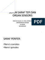 SNP Dan Organ Sensoris