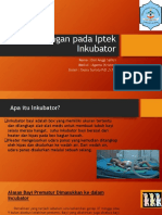 ppt inkubator