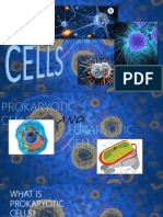 Prokaryotic and Eukaryotics Cells