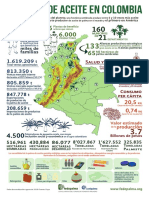 Aceite de Palma en Colombia