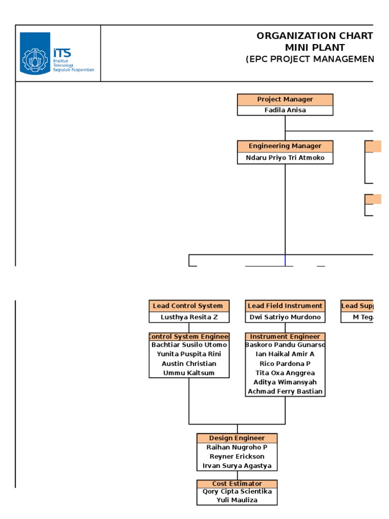 EPC A Project Management (Organization Chart+ Job Desc+ | PDF