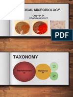 Chapter 14 - Staphylococci