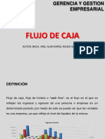 Flujo de Caja