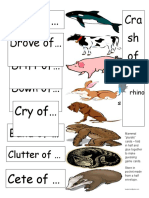Science Mammal Plurals Card