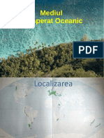 Zona Temperat Oceanica