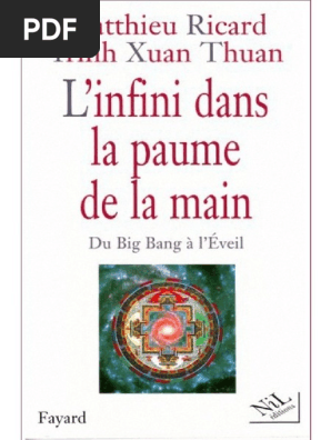 l infini dans la paume de la main matthieu ricard et thuan trinh xuan pdf science spiritualite