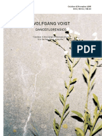 #08 W Voigt PDF