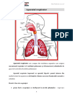 Anatomie 