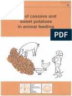 Cassava Feed