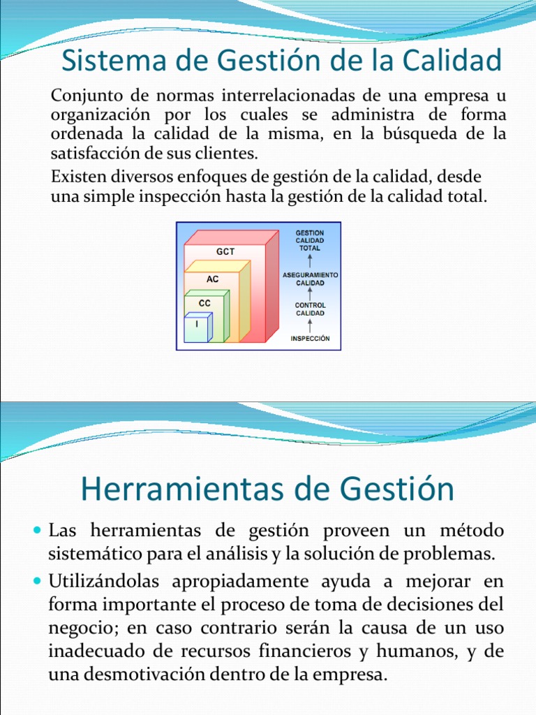 Sistema de Gestion de La Calidad | PDF | Gestión de la calidad ...