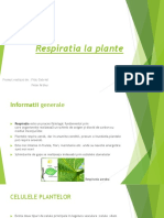 Respiratia Plante