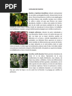 Catalogo de Plantas