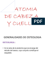 Anatomia Cabeza y Cuello