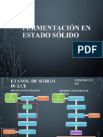 Fermentacion en Estado Solido