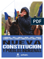 Nueva Constitución y Pueblos Indígenas