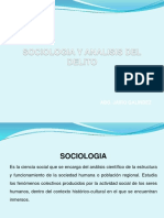 Sociologia y Analisis Del Delito